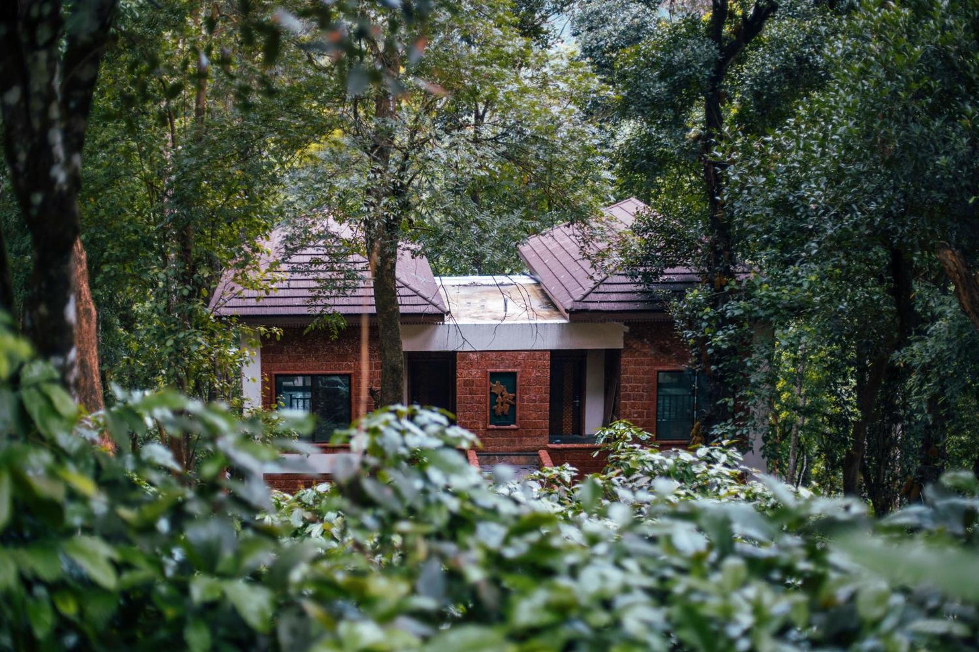 Timbertales Luxury Resort Coorg Madikeri Ngoại thất bức ảnh